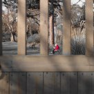 Through The Gate